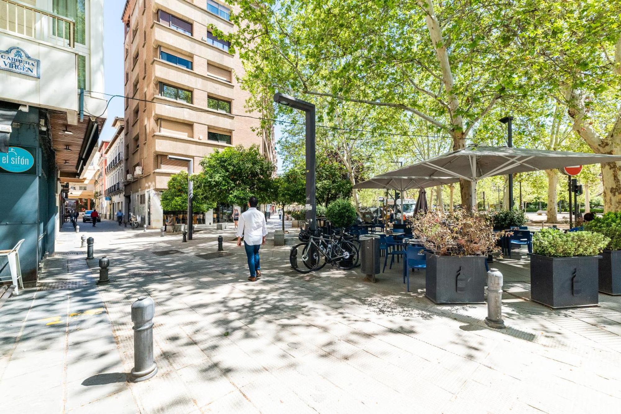 Encantador Piso Pleno Centro A Pie De Semana Santa Y Cerca De La Alhambra Granada Dış mekan fotoğraf